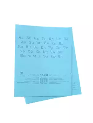 Набор школьных тетрадей SAUR, 20 шт, 12 листов, А5, линейка